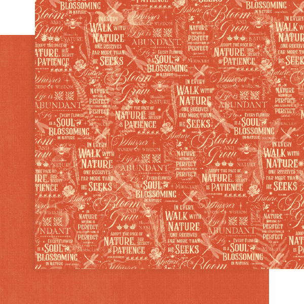 Graphic 45 Life is Abundant 12×12 Patterns and Solids Pack - Craftywaftyshop
