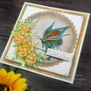 Jamie Rodgers Sentiments Collection Essentials 2 Craft Die by Creative Expressions - Craftywaftyshop