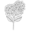 Nature's Garden Hydrangea Clear Acrylic Stamps Hydrangea by Crafters Companion - Craftywaftyshop