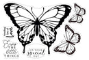 Sheena Douglass Bold Butterflies Stamp and Die Red Admiral Butterfly - Craftywaftyshop