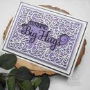 Sue Wilson Background Collection Swirly Scrolls Craft Die by Creative Expressions - Craftywaftyshop