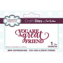 Sue Wilson Mini Expressions You Are A Great Friend Craft Die by Creative Expressions - Craftywaftyshop