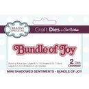 Sue Wilson Mini Shadowed Sentiments Bundle Of Joy Craft Die by Creative Expressions - Craftywaftyshop